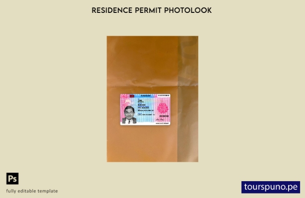 Plantilla frontal de aspecto fotográfico del permiso de residencia en Estonia li